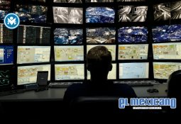 Un estudio revela que casi el 40% de las empresas mexicanas pierden hasta 5 millones de dólares al año debido a fallas de software