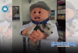 INE valida elección de ministras y ministros de la SCJN pese a irregularidades detectadas