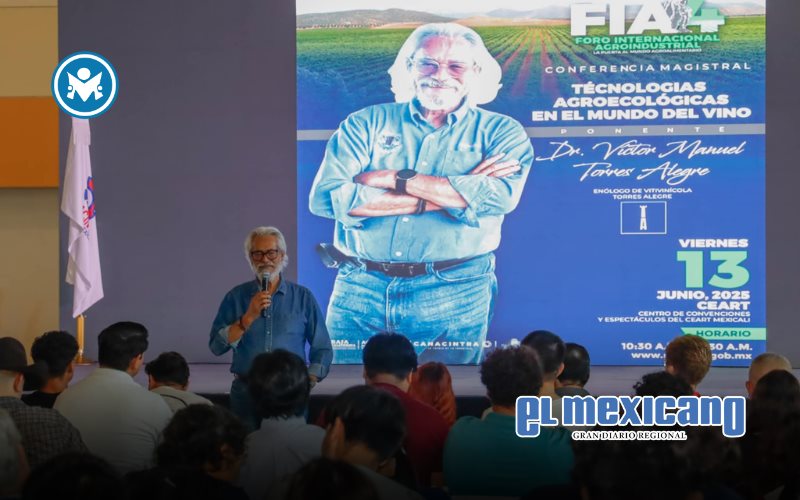 Denuncian productores de vino que política fiscal desprotege a su industria frente al exterior Denuncian productores de vino que política fiscal desprotege a su industria frente al exterior