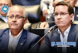 Farmacias Similares presenta a la Dra. Lares, nueva imagen veterinaria de SimiPet Care