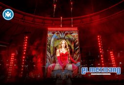 Daños Luz: el brillante presente futuro de Enjambre Daños Luz: el brillante presente futuro de Enjambre