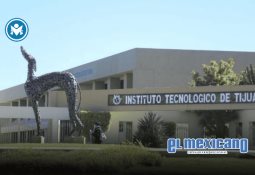 Impulsa gobierno de Claudia Agatón los derechos de las niñas, niños y adolescentes en Maneadero