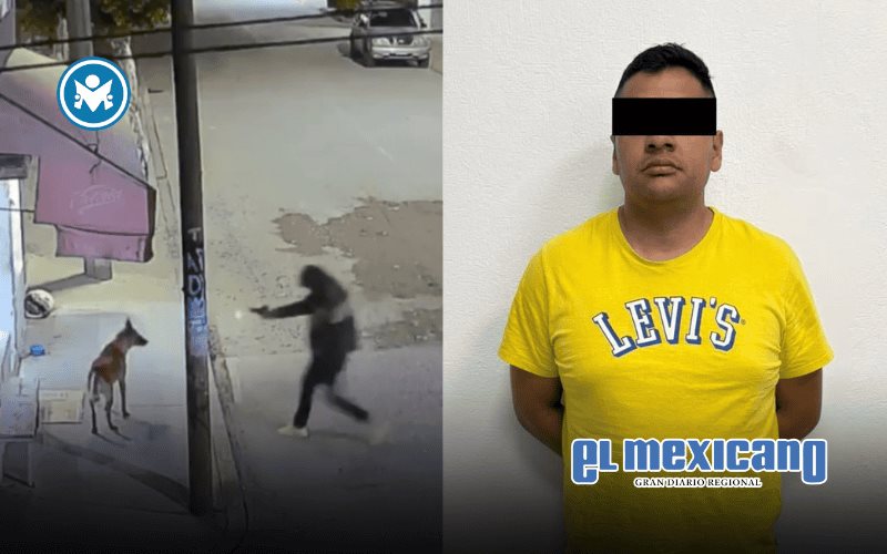 Detienen a agente de la Fiscalía por matar a balazos a un perro en Ecatepec