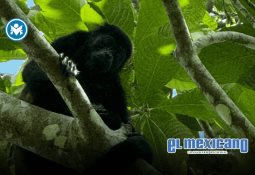 P&G, Blue Risk y Agua Capital fortalecen capacidades técnicas para una gestión del agua más efectiva en México P&G, Blue Risk y Agua Capital fortalecen capacidades técnicas para una gestión del agua más efectiva en México