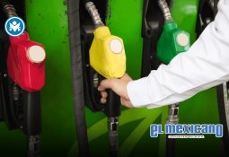 Un verano de colores en el hotel Mondrian México City Condesa Un verano de colores en el hotel Mondrian México City Condesa