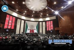 México prohíbe espectáculos con delfines y mamíferos marinos; avanzan sanciones México prohíbe espectáculos con delfines y mamíferos marinos; avanzan sanciones