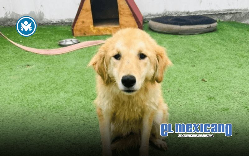 Brinda el CACyFE cerca de mil 300 atenciones en el último trimestre