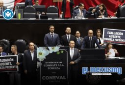 México prohíbe espectáculos con delfines y mamíferos marinos; avanzan sanciones México prohíbe espectáculos con delfines y mamíferos marinos; avanzan sanciones