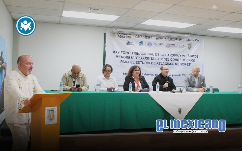 Destaca Baja California en aprovechamiento e investigación sobre sardina Destaca Baja California en aprovechamiento e investigación sobre sardina