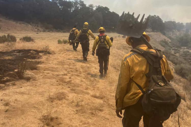 imagen-cuerpo imagen-cuerpo