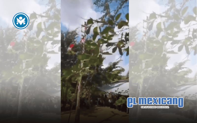 Cinco voladores de Papantla caen tras colapso de mástil en Tihuatlán Cinco voladores de Papantla caen tras colapso de mástil en Tihuatlán
