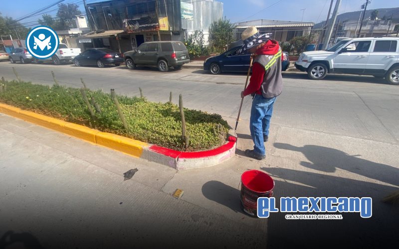Más de 11 mil metros lineales pintados en señalamiento vial en los últimos 15 días de junio