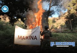 Hallan cadáver esposado en la carretera Tijuana–Tecate