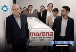 Xin Xin, la última panda de América Latina, celebra 35 años como emblema de esperanza