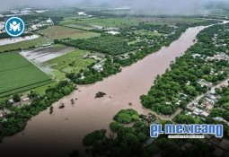 Suspenden programas IMMEX a 416 empresas por incumplimiento fiscal