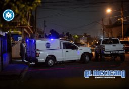 Marina asegura redes ilegales y libera 250 langostas en Ensenada