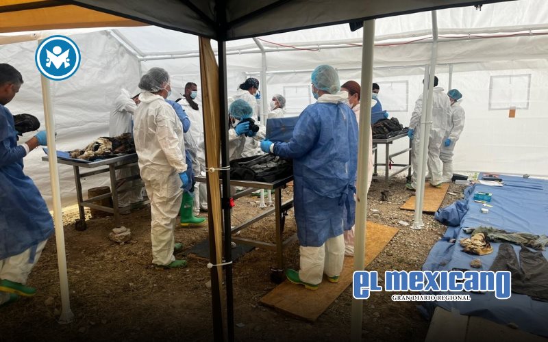 ONU exige investigación urgente por hallazgo de 383 cuerpos en crematorio clandestino de Ciudad Juárez ONU exige investigación urgente por hallazgo de 383 cuerpos en crematorio clandestino de Ciudad Juárez