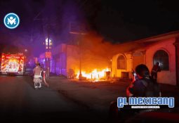 Marina asegura redes ilegales y libera 250 langostas en Ensenada