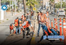 Gobierno de Marina del Pilar coordina acción para proteger a 300 perros en situación de riesgo en Ensenada