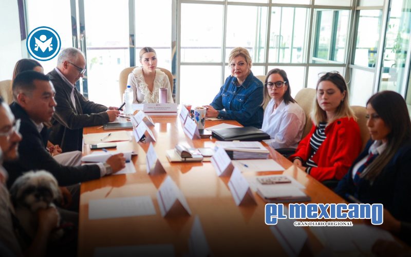 Gobierno de Marina del Pilar coordina acción para proteger a 300 perros en situación de riesgo en Ensenada Gobierno de Marina del Pilar coordina acción para proteger a 300 perros en situación de riesgo en Ensenada