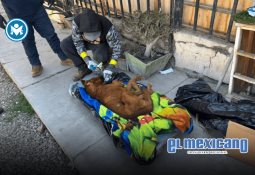 Realizan "Valle en la Playa 2025" para apoyar a niños con autismo