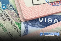 Hombre muere tras ser succionado por turbina en aeropuerto de Milán Hombre muere tras ser succionado por turbina en aeropuerto de Milán