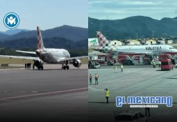 Suecia prohíbe dejar solos a los perros por más de seis horas; castigan a quienes los dejen amarrados Suecia prohíbe dejar solos a los perros por más de seis horas; castigan a quienes los dejen amarrados