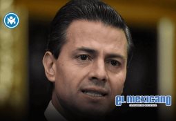 5 sillones ocasionales que redefinen el lujo en tu espacio