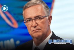 Mapa actoral: los estados mexicanos que más brillan en el cine de Estados Unidos Mapa actoral: los estados mexicanos que más brillan en el cine de Estados Unidos