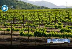 Arranca gobierno de Claudia Agatón con Operativo Verano Seguro 2025