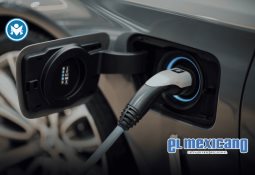 Memes, emojis y ghosting: el diccionario digital que define cómo hablamos (y sentimos) en 2025