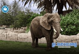 Alejandro Armenta se disculpa tras tronar dedos a secretaria de Turismo en Puebla