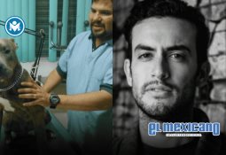 Saborean cientos de comensales productos marinos de Baja California en "Cocina la Baja"