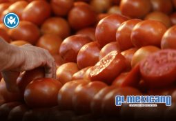 Riesgos de salud en verano: Estas son las 5 enfermedades que más atienden los seguros en julio Riesgos de salud en verano: Estas son las 5 enfermedades que más atienden los seguros en julio