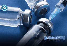 FGR no ha abierto investigaciones contra CIBanco, Intercam y Vector: Sheinbaum