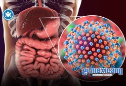 Jueza prohíbe a periodista referirse a la gobernadora de Campeche