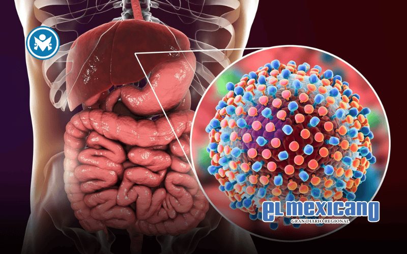 Hepatitis C: Verdades, mitos y cómo detectarla a tiempo