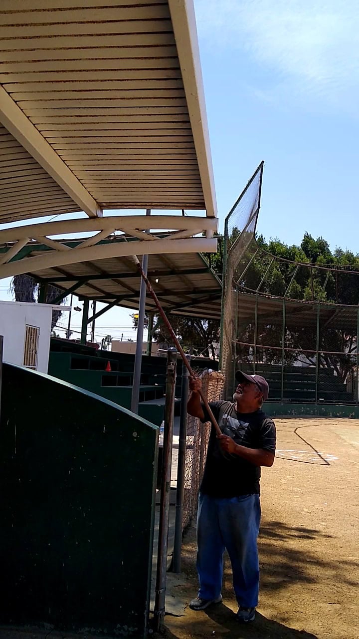 imagen-cuerpo imagen-cuerpo