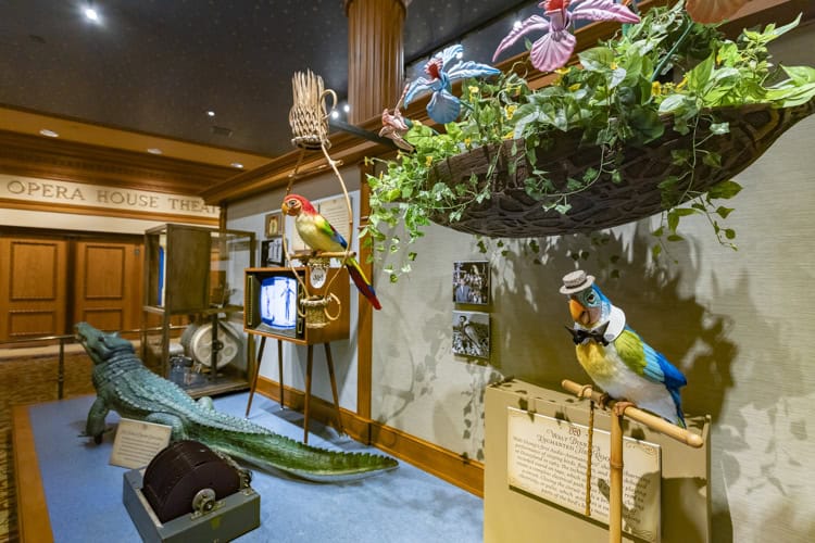 imagen-cuerpo imagen-cuerpo