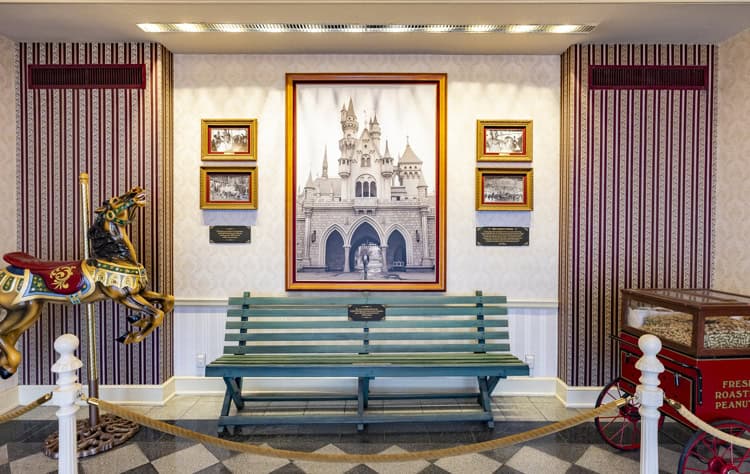 imagen-cuerpo imagen-cuerpo