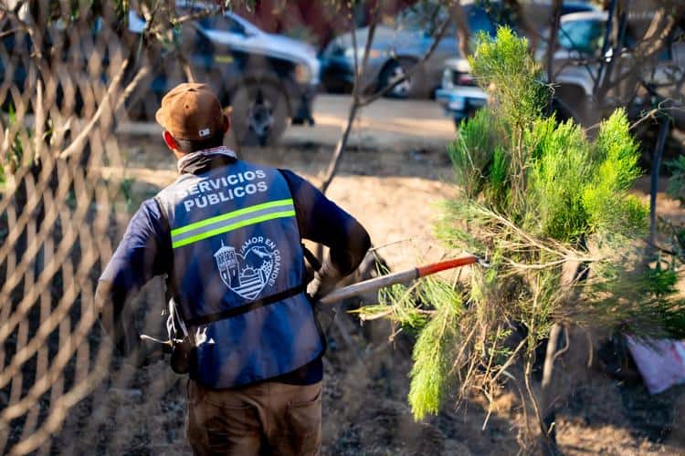 imagen-cuerpo imagen-cuerpo