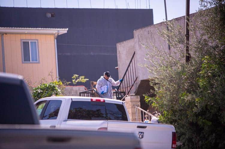 imagen-cuerpo imagen-cuerpo