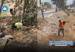 Se suma Gobierno de Ensenada a estrategia nacional de limpieza de playas y costas