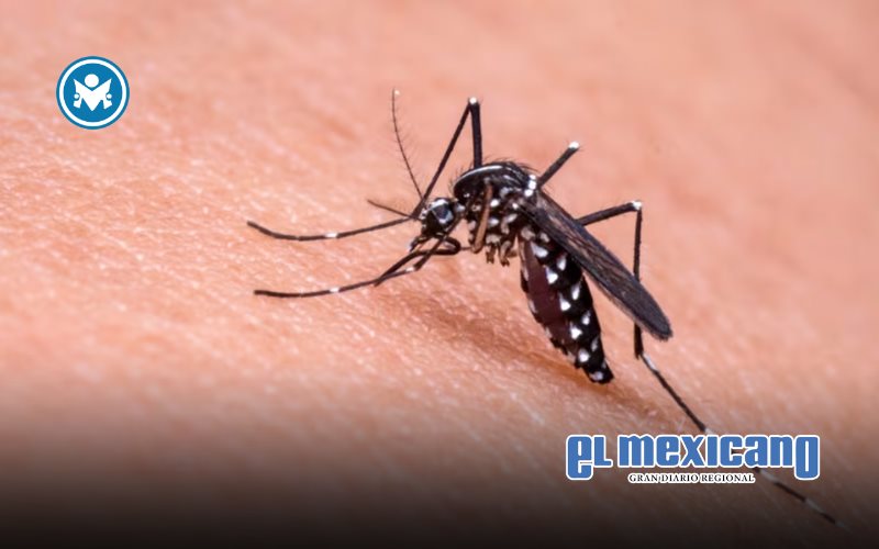 Aumentan casos de malaria en México; Chiapas concentra la mayoría de contagios Aumentan casos de malaria en México; Chiapas concentra la mayoría de contagios