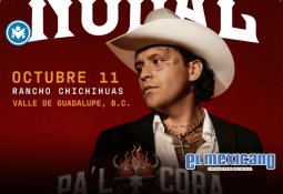 Invita Gobernadora Marina del Pilar a familias de Mexicali y San Felipe a ahorrar en su recibo de luz con "Techos Solares para el Bienestar" Invita Gobernadora Marina del Pilar a familias de Mexicali y San Felipe a ahorrar en su recibo de luz con "Techos Solares para el Bienestar"