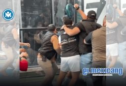 El mejor amigo del hombre tiene su día: el mundo celebra al perro este 21 de julio