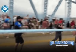 "ISA nombra nueva Coordinadora Regional en un momento clave para la política alimentaria en América Latina" "ISA nombra nueva Coordinadora Regional en un momento clave para la política alimentaria en América Latina"