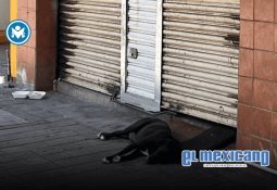 Matan a matrimonio en fiesta infantil frente a sus hijas Matan a matrimonio en fiesta infantil frente a sus hijas