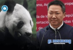 Captan pelea entre policía y motociclista en CDMX; SSC ya investiga