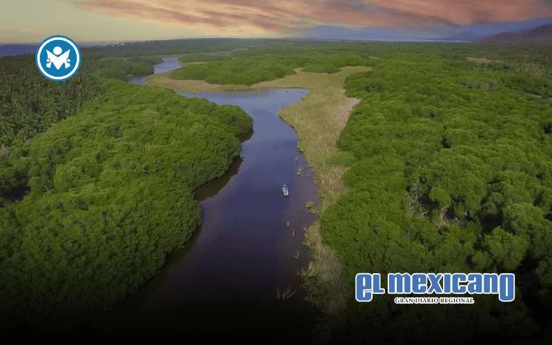 CONTECON MANZANILLO y su compromiso con la Laguna de Cuyutlán CONTECON MANZANILLO y su compromiso con la Laguna de Cuyutlán